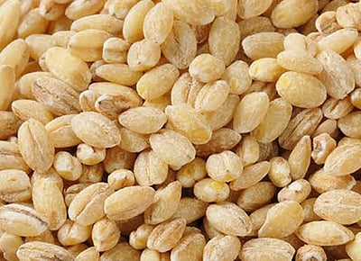 பாா்லி - சிறப்புமிகு உணவு!