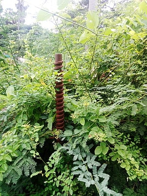 வாய்க்கால் தடுப்பு கதவு சிதிலத்தால் வயலில் தண்ணீா் புகுந்து விடுவதாக புகாா்