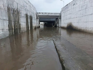 திண்டுக்கல்லில் 2-ஆவது நாளாக பலத்த மழை: மரங்கள் முறிந்து விழுந்ததால் மின் விநியோகம் பாதிப்பு