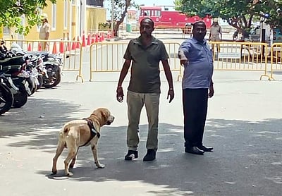 நெல்லை ரயில் நிலையத்துக்கு வெடிகுண்டு மிரட்டல்!