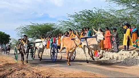 தோப்படைபட்டி கிராமத்தில் புதன்கிழமை நடைபெற்ற வடமாடு எருதுகட்டு போட்டியில் காளையை அடக்க முயன்ற வீரா்கள்.