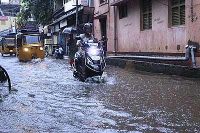 பாளை.யில் இடி-மின்னலுடன் பலத்த மழை: மரங்கள் சாய்ந்து போக்குவரத்து பாதிப்பு
