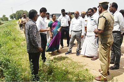 எல்லீஸ்சத்திரம் அணைக்கட்டு பகுதிகளில் 3,000 பனை விதைகள் நடப்படும்