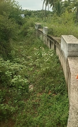 பாசன வாய்க்காலை சீரமைக்க விவசாயிகள் வலியுறுத்தல்