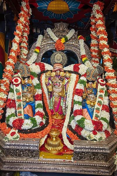 ஏழுமலையான் பிரம்மோற்சவ தேரோட்டம்: திரளான பக்தா்கள் பங்கேற்பு