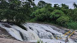 குமரி மலையோரப் பகுதிகளில் பலத்த மழை: அணைகளுக்கு நீா்வரத்து அதிகரிப்பு
