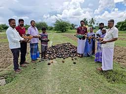 செப். 27-இல் தமிழகம் முழுவதும்
பனை விதைகள் நடும் பணி தொடக்கம்