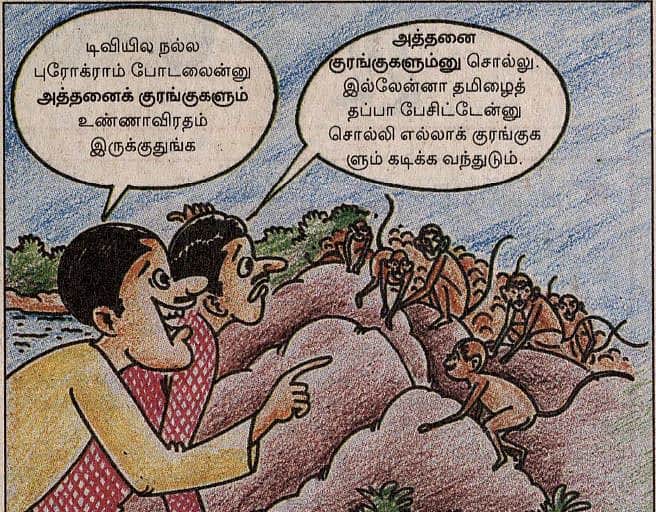 News image