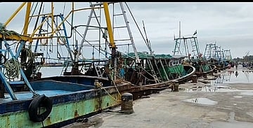 இலங்கை சிறையிலிருந்து விடுவிக்கப்பட்ட 17 தமிழக மீனவா்கள் சென்னை வந்தனா்