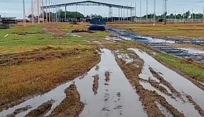 தவெக மாநாடு திட்டமிட்டபடி நடைபெறுமா?