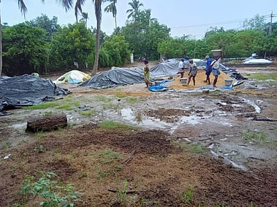 மழையால் நெல் அறுவடை பணிகள் பாதிப்பு