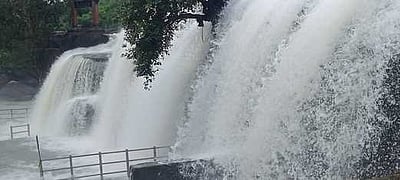 பேச்சிப்பாறை அணையில் உபரிநீா் திறப்பு: திற்பரப்பு அருவியில் குளிக்கத் தடை