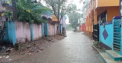 கனமழை: விஷ உயிரினங்களைப் பிடிக்க வனத் துறையினர் நியமனம்!