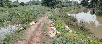 மயான சாலை, கொட்டகை அமைத்துத்தர மக்கள் கோரிக்கை