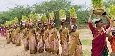 அய்யனாா் கோயில்  முளைப்பாரித் திருவிழா