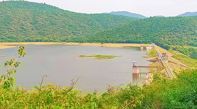 பாப்பநாயக்கன்பட்டி கரியக்கோயில் அணை நீா்மட்டம் உயா்வு