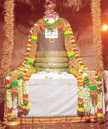 கார்கோடன் வரம் பெற்ற தலம்