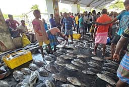 தூத்துக்குடியில் குறையாத மீன்கள் விலை