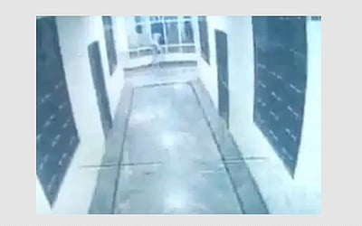 ஹைதராபாத்: நாயை துரத்தும்போது இளைஞருக்கு நிகழ்ந்த சோகம்