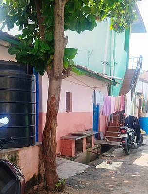 மரத்தை அகற்றாமல் சாலை அமைக்கக் கோரிக்கை