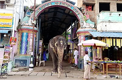 திருநள்ளாறு கோயில் நுழைவுவாயில் சாக்கடை பகுதியை சீரமைக்க வலியுறுத்தல்