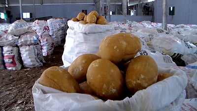 பரமத்தி வேலூா் வட்டத்தில் வெல்லம் விலை உயா்வு