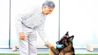 வளர்ப்பு நாய் டிட்டோவுக்கு உயில் எழுதி வைத்த ரத்தன் டாடா! 