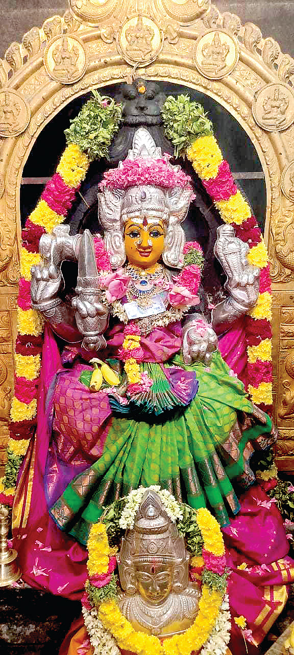 நிதமும் அருளும் நித்ய சுமங்கலி மாரியம்மன்