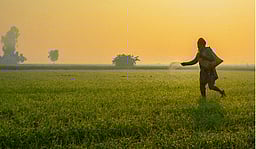 தௌசா, கரௌலி மாவட்ட விவசாயிகளுக்குப் பகல் நேர மின்சாரம்: முதல்வர்!