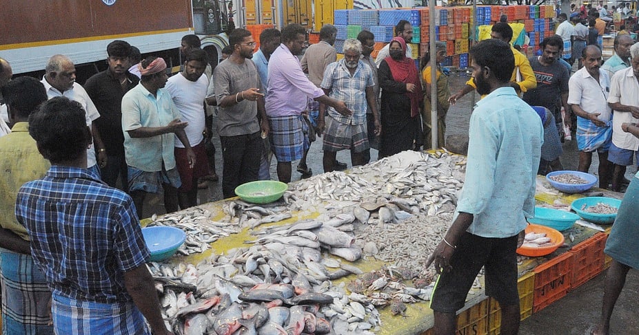 விழுப்புரம் அனிச்சம்பாளையம் மொத்த மீன் விற்பனைச் சந்தையில் மீன் வகைகளை வாங்குவதற்காக புதன்கிழமை குவிந்த பொதுமக்கள்.