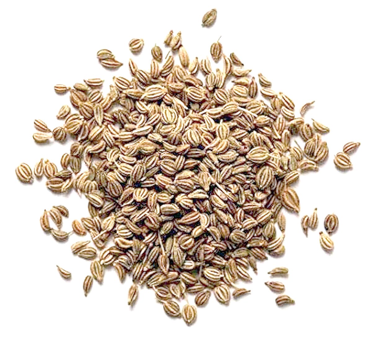 ஆயுள் காக்கும் ஆயுர்வேதம்: உணவு செரிக்கும் தன்மை மந்தம் ஏன்?