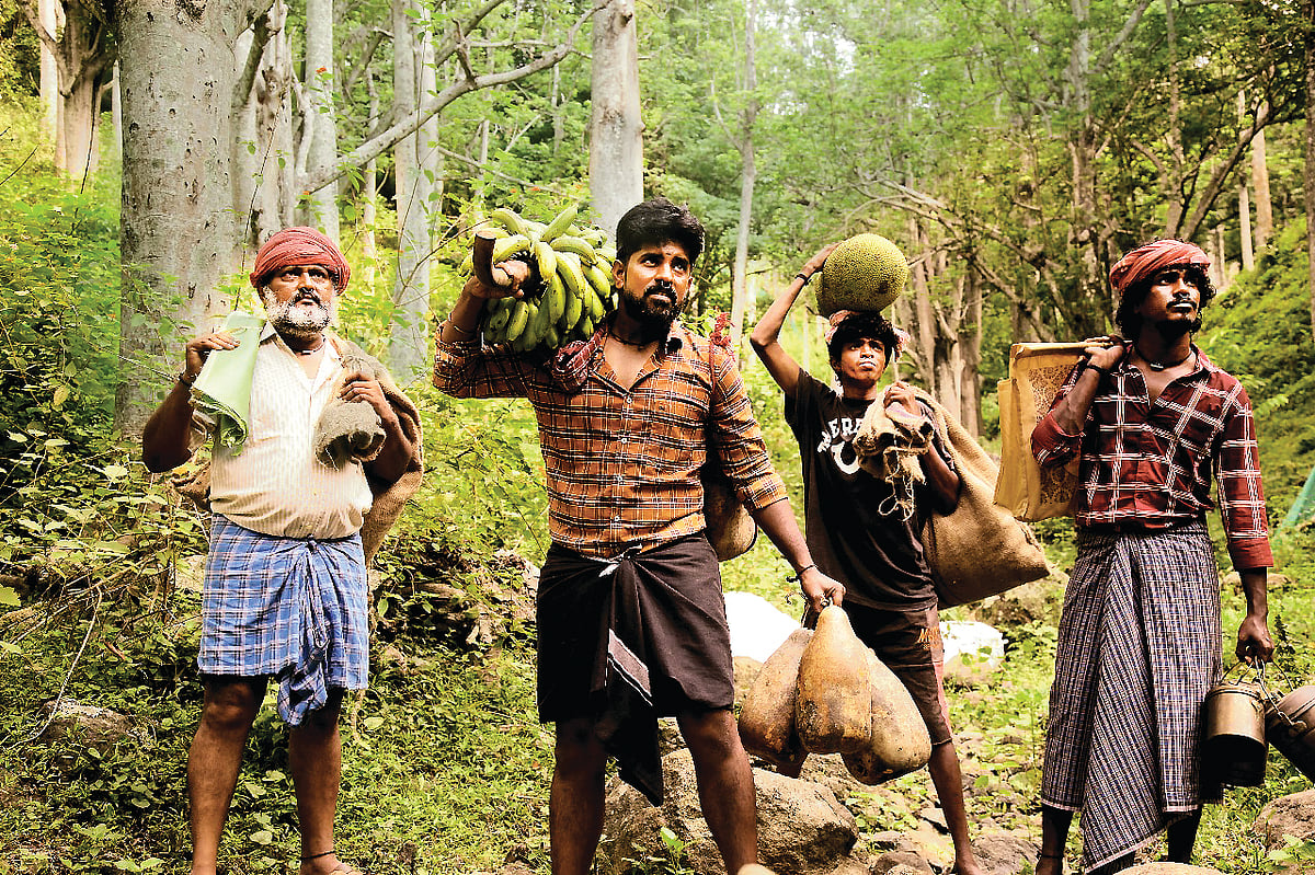 விலங்குகளின் அன்பில் அப்பழுக்கு இல்லை!