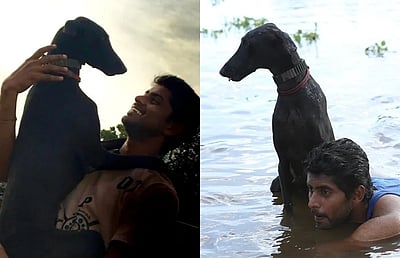 பரியேறும் பெருமாளில் நடித்த கருப்பி நாய் பலி! பட்டாசுகளால் நேர்ந்த சோகம்!