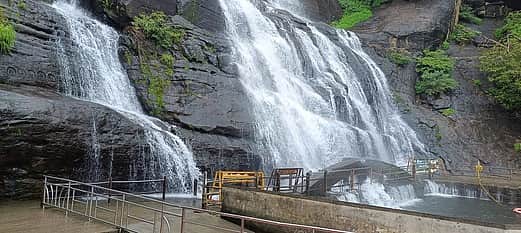 குற்றால பேரருவி, ஐந்தருவியில் மீண்டும் குளிக்கத் தடை