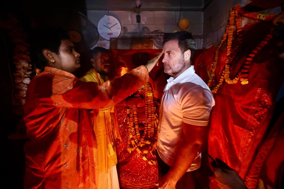 ஸ்ரீ பிபாலேஷ்வர் மகாதேவ்ஜி கோயிலில் ராகுல் காந்தி