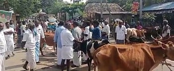 கால்நடை மருத்துவமனை இடமாற்றம் கால்நடைகளுடன் விவசாயிகள் மறியல்