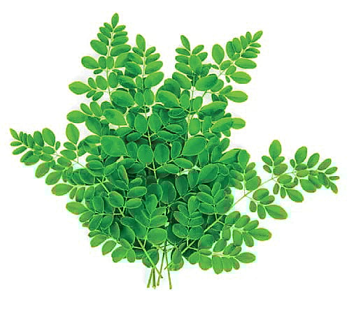 வீட்டுக்குறிப்புகள்...