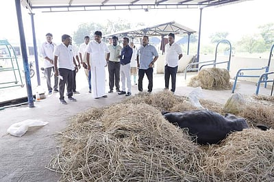 நாமக்கல் கால்நடை மருத்துவமனையில் எம். பி.ஆய்வு