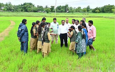 மின்னணு முறையில்  பயிா் சாகுபடி கணக்கீடு