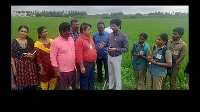 வேளாண் சாகுபடி அளவீட்டுப் பணிகள் ஆய்வு