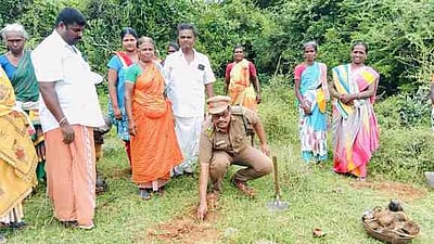 செவலூா் வனப் பகுதியில் பனை விதைகள் நடவு