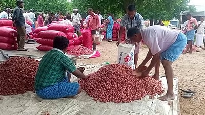 வரத்து அதிகரிப்பு: புன்செய்புளியம்பட்டியில் சின்ன வெங்காயம் கிலோ ரூ.20-க்கு விற்பனை