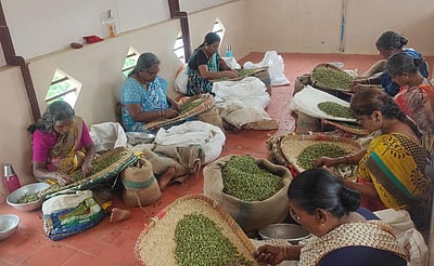 ஏலக்காய் விலை அதிகரிப்பு: விவசாயிகள், வியாபாரிகள் மகிழ்ச்சி