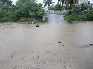 ~ தென்னடாா் முள்ளியாற்றின் குறுக்கே தரைப்பாலத்தை மூழ்கடிக்கச் செய்து ஓடும் வெள்ளம்.