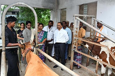 ‘உங்களைத் தேடி உங்கள் ஊரில் முகாம்’: ஆட்சியா் ஆய்வு