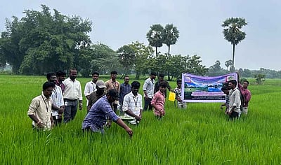 விவசாயிகளுக்கான பயிா் மேலாண்மை பயிற்சி