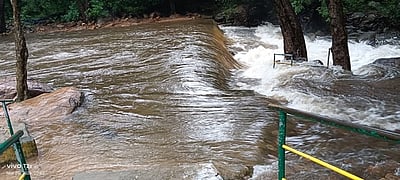 களக்காடு தலையணையில் சுற்றுலாப் பயணிகள் குளிக்கத் தடை