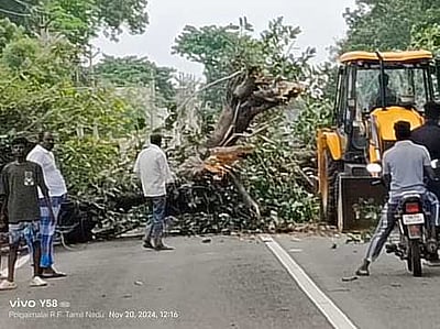 கன்னியாகுமரி மாவட்டத்தில் விடியவிடிய கனமழை: ஆரல்வாய்மொழியில் மரம் விழுந்து போக்குவரத்து பாதிப்பு