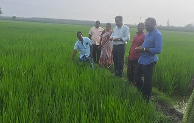 நெல் பயிரில் இலை சுருட்டுப் புழு தாக்குதல்: வேளாண் அலுவலா்கள் ஆய்வு