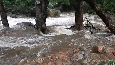 விடிய விடிய பெய்த கனமழை: எப்படி இருக்கிறது நெல்லை மாவட்டம்?